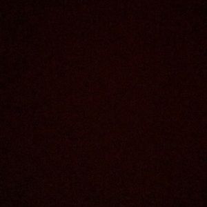 Meet your Posher, Isabella